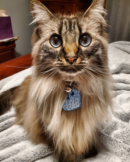 Lola