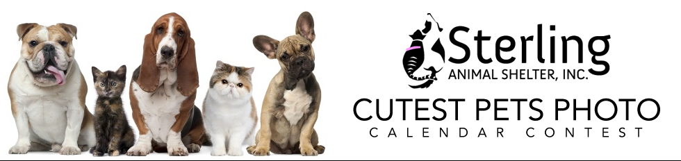 Banner for Sterling Shelter's Cutest Pets Photo Calendar Contest