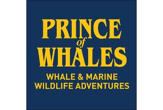 Prince of Whales Whale & Marine Wildlife Adventures