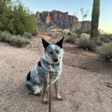 Entry image for Lola