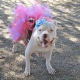 Entry image for Winnie 