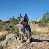 Entry image for Maddie