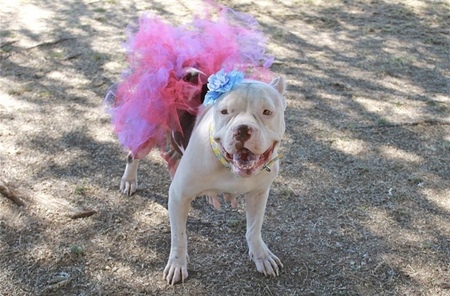 Entry image for Winnie . Clicking this image will show a larger photo