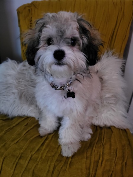 Entry image for Doug. Clicking this image will show a larger photo