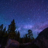 Entry image for Stary Night