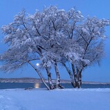 Entry image for Full moon setting