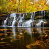 Entry image for Mardis Mill Autumn