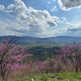 Entry image for "Shenandoah Surprise"