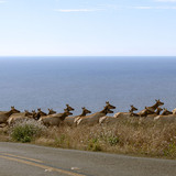 Entry image for Tear Up the Range