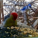 Entry image for Waiting my turn