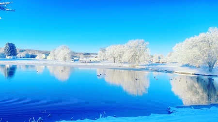 Clymer Pond 