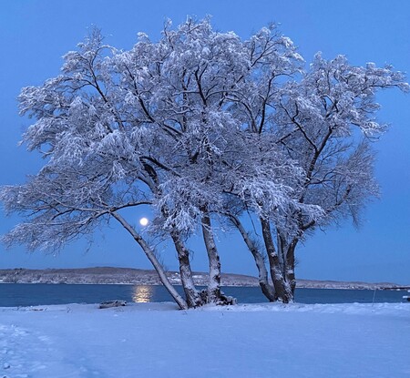 Entry image for Full moon setting. Clicking this image will show a larger photo