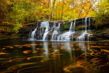 Mardis Mill Autumn