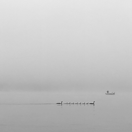 Entry image for In a Row. Clicking this image will show a larger photo