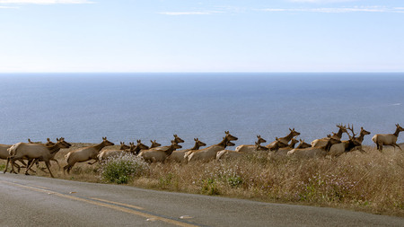 Entry image for Tear Up the Range. Clicking this image will show a larger photo