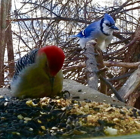 Entry image for Waiting my turn. Clicking this image will show a larger photo