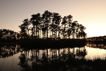 Everglades Sky