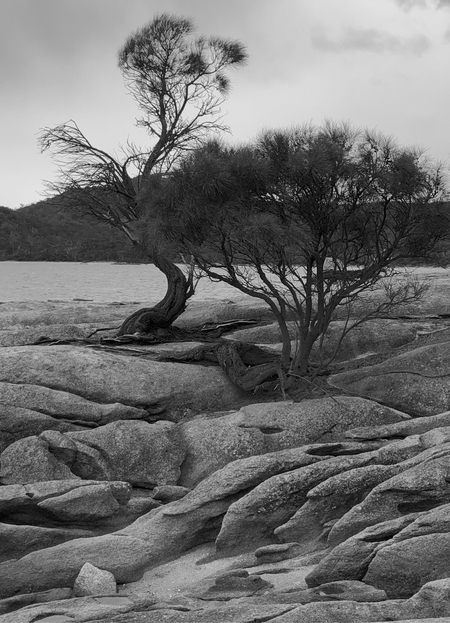 Tasmanian Seascape