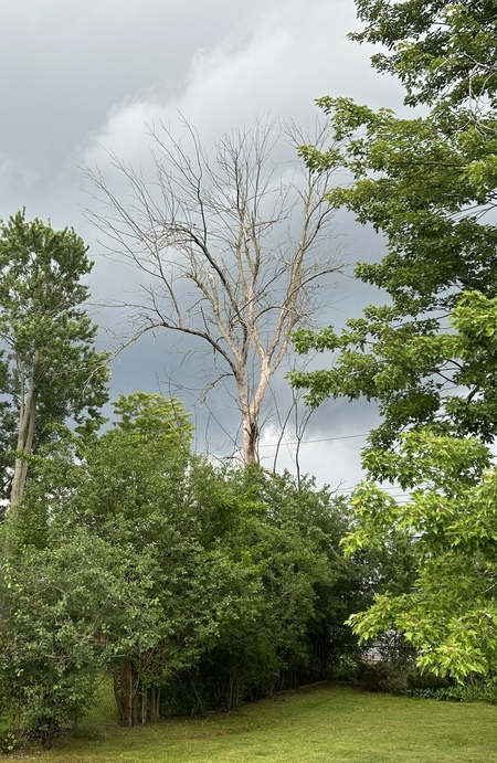 Standing in the Storm