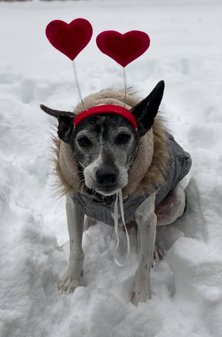 Roscoe 