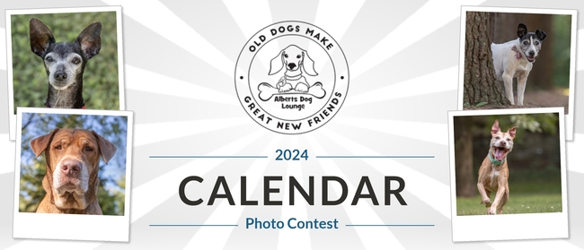 Prizes | Shadow Dog Photography | Albert's Dog Lounge 2024 Calendar Contest