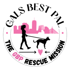 Logo for 2024 Dog Calendar Photo Contest