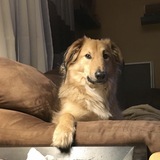 Entry image for Nigel 