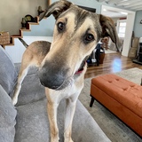 Entry image for Rubble