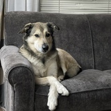 Entry image for Winston 