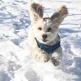 Entry image for Andy