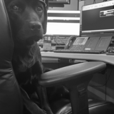 Entry image for Samy 