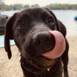 Entry image for Samy 