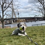 Entry image for Walter 