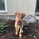 Entry image for Coco 