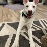 Entry image for Aspen