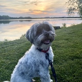 Entry image for Harry