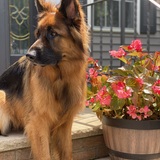 Entry image for Frisco