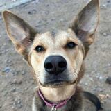 Entry image for Blue