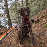 Entry image for Matilda 