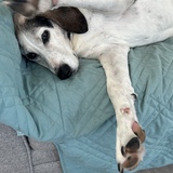 Entry image for Benjamin 