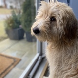 Entry image for Sully 