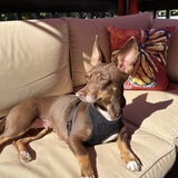 Entry image for Trudy