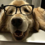 Entry image for Charlie