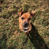 Entry image for Popper