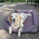 Entry image for Jenny