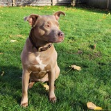 Entry image for ZOEY 