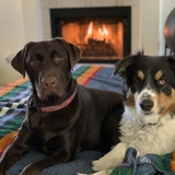 Entry image for Remi & Beni