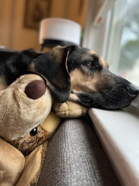 Entry image for Apollo. Clicking this image will show a larger photo