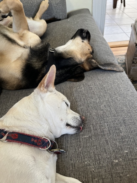 Entry image for Murdock. Clicking this image will show a larger photo