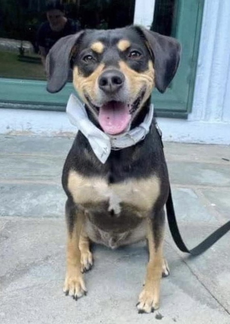 Entry image for Wes. Clicking this image will show a larger photo